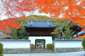 ���E�����@���� �։����Q�q�Ɠ��{�O�i�����E�H�ۂ̗�